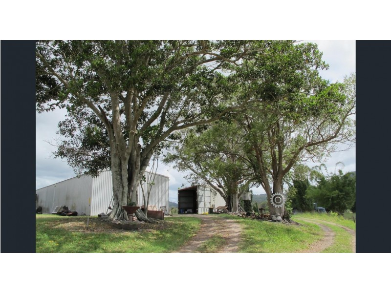 Maroochy River QLD 4561