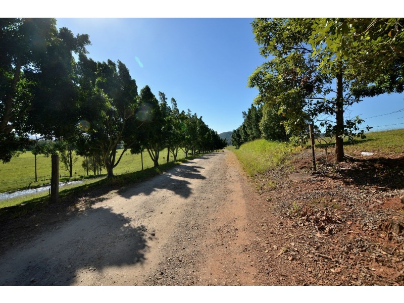 Maroochy River QLD 4561