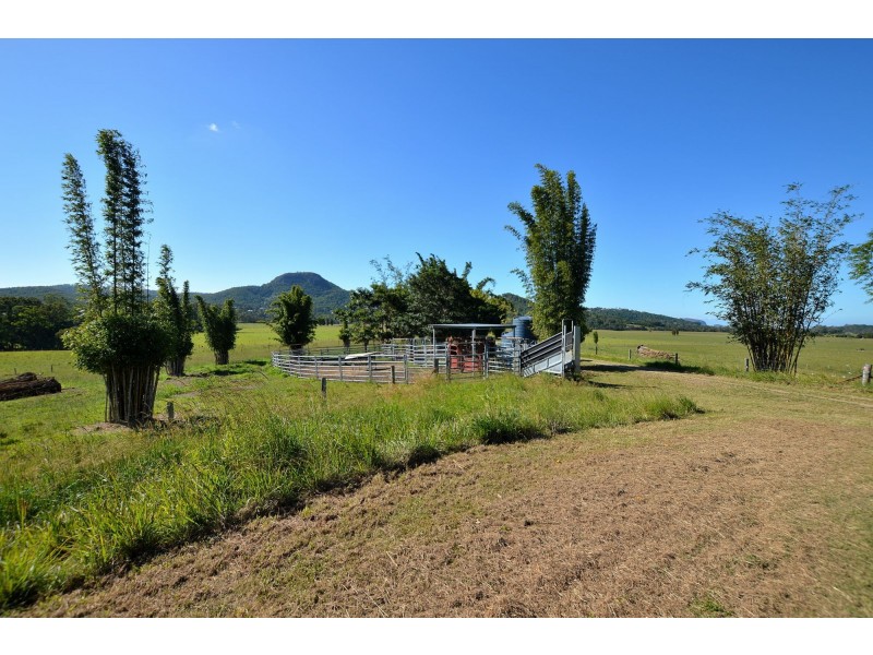 Maroochy River QLD 4561