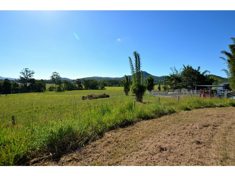 Maroochy River QLD 4561