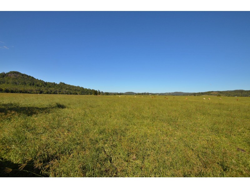 Maroochy River QLD 4561