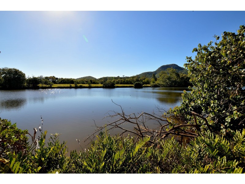 Maroochy River QLD 4561