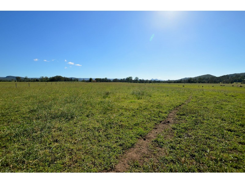 Maroochy River QLD 4561