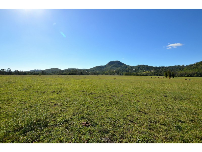 Maroochy River QLD 4561