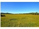 Yandina QLD 4561
