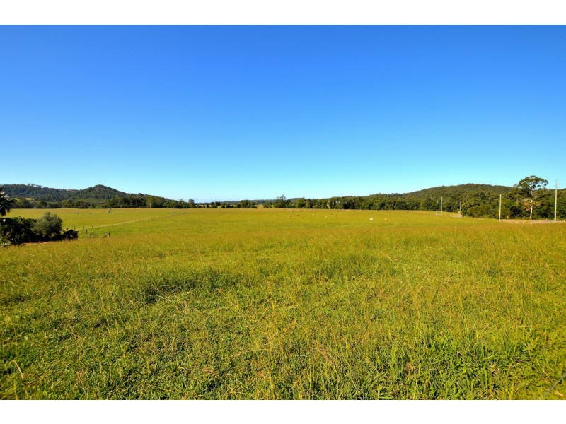 Yandina QLD 4561