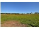 Yandina QLD 4561