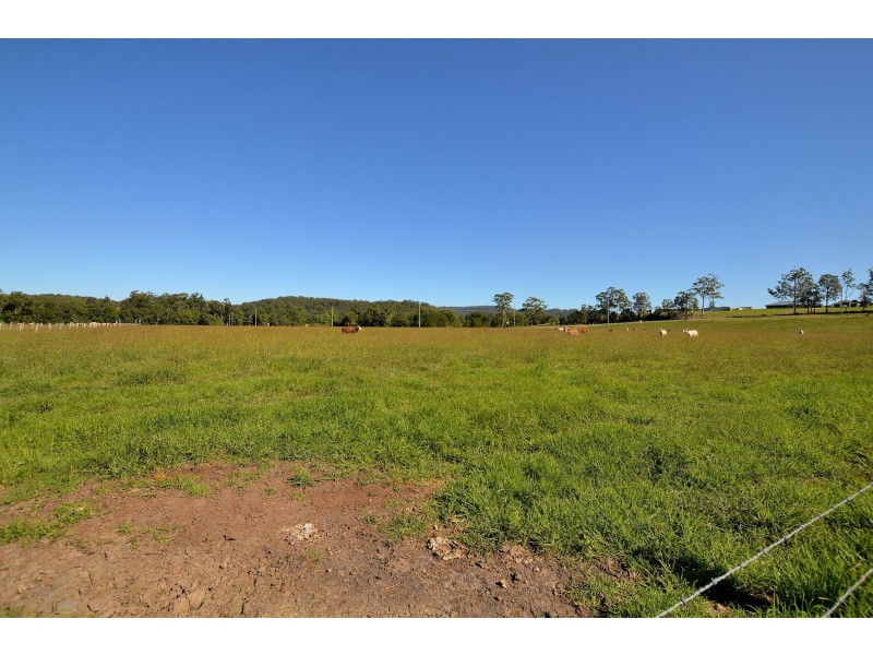 Yandina QLD 4561