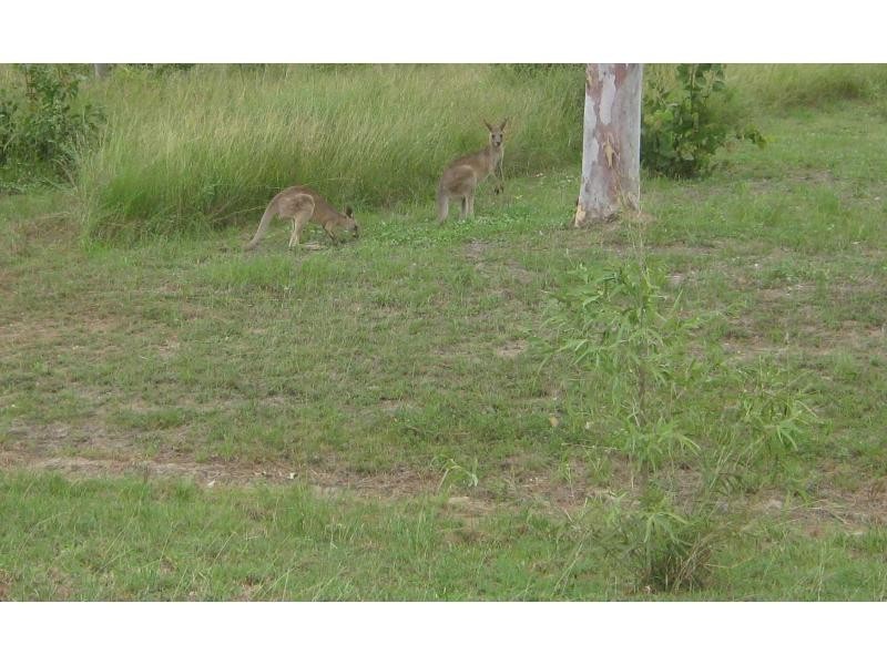 7 Doriemus Court, Kelso QLD 4815