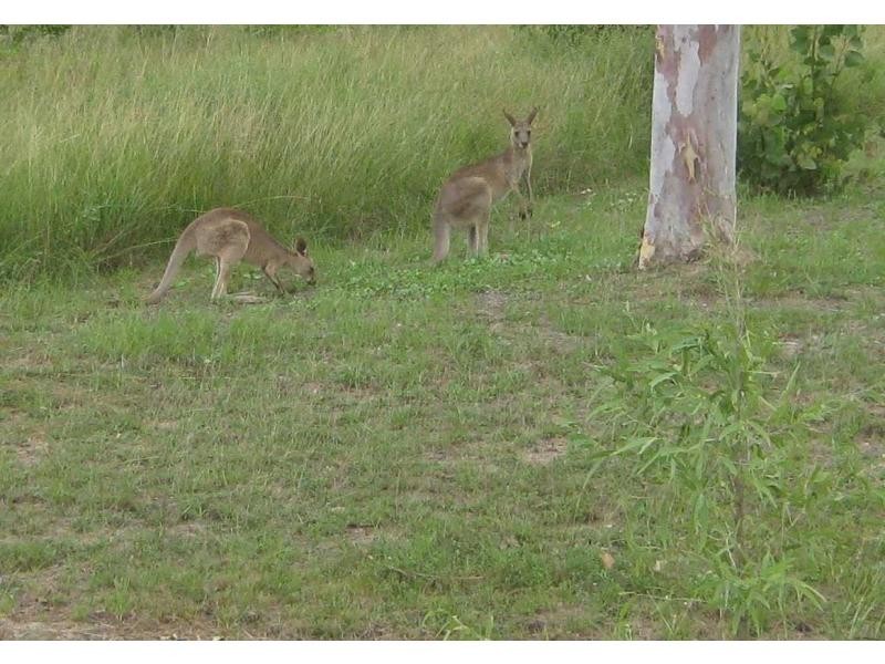 19 Tokara Court, Kelso QLD 4815