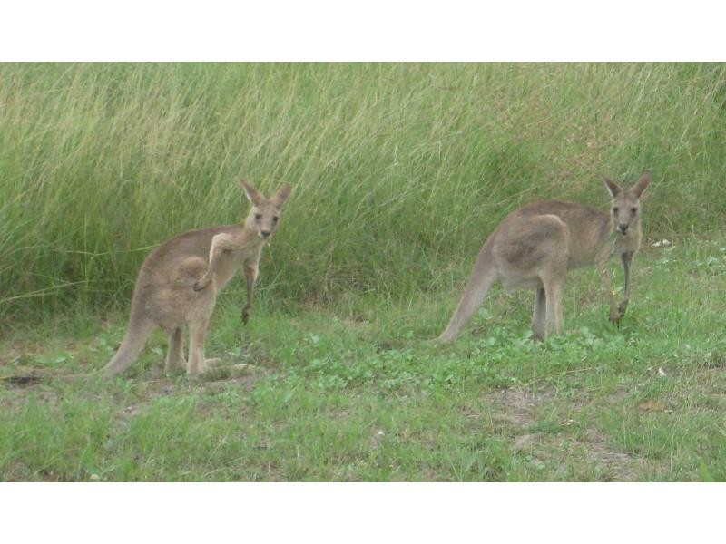 Lot 53 & 54 Tokara Court, Kelso Country Estate, Kelso QLD 4815