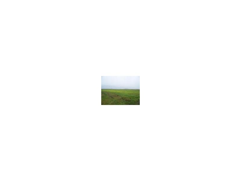 Lot 91 & 135 Mancusos Road, Lannercost, Ingham QLD 4850