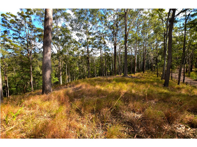 1 Gerrard Rd, Eudlo QLD 4554