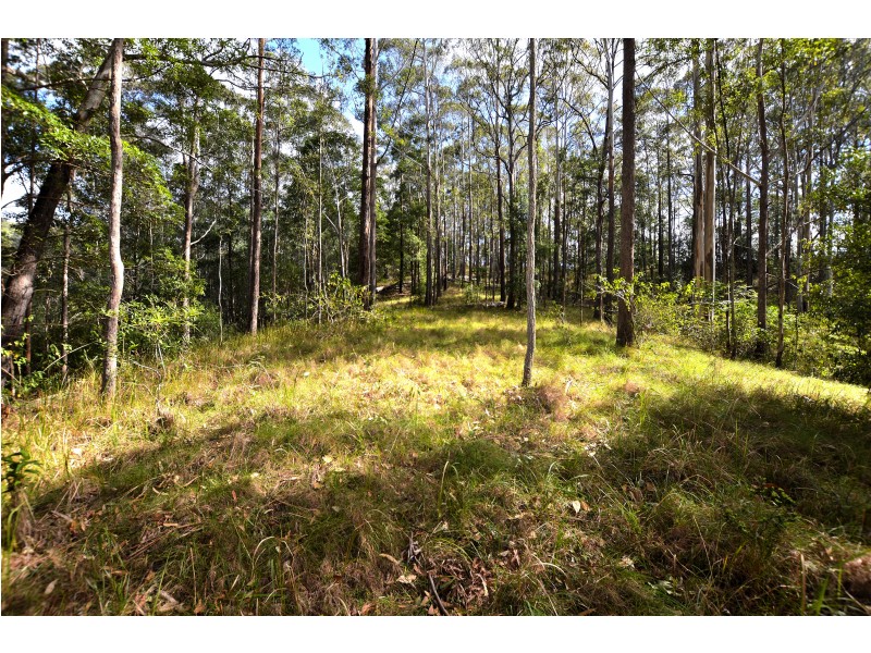 20 Ramberts Rd, Eudlo QLD 4554