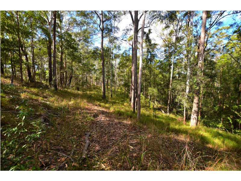 20 Ramberts Rd, Eudlo QLD 4554