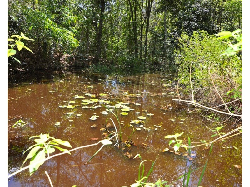 Lot 3/16 Glenkeith Pl, Eudlo QLD 4554