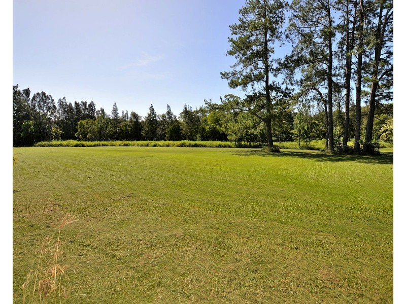 9 Primrose Ct, Palmwoods QLD 4555