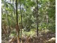 63 Macdonald Rd, Palmwoods QLD 4555