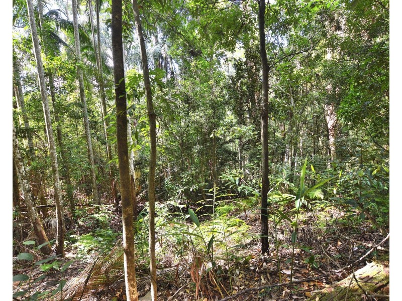 63 Macdonald Rd, Palmwoods QLD 4555