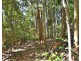 63 Macdonald Rd, Palmwoods QLD 4555