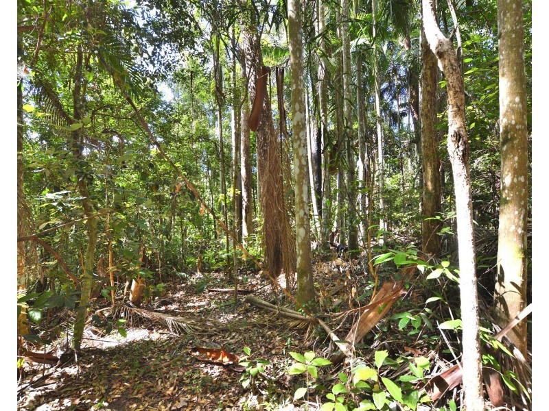 63 Macdonald Rd, Palmwoods QLD 4555