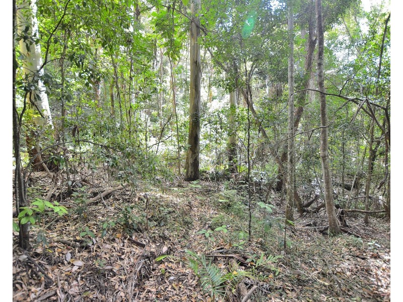 63 Macdonald Rd, Palmwoods QLD 4555