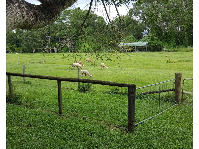 95 Jubilee Dr, Palmwoods QLD 4555