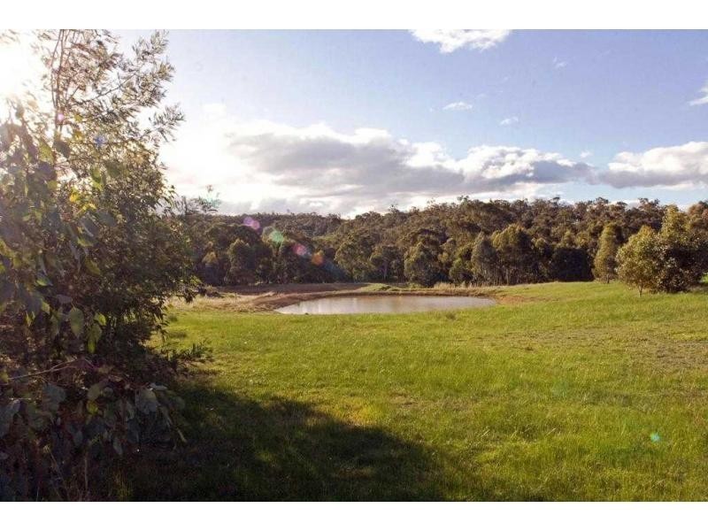1106 Axe Creek Road, Sedgwick VIC 3551