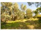 Flora Hill VIC 3550