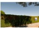 Kennington VIC 3550