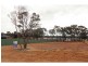 Maiden Gully VIC 3551