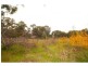 Ravenswood VIC 3453