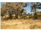 Spring Gully VIC 3550