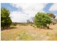 Maiden Gully VIC 3551