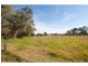 White Hills VIC 3550
