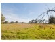 White Hills VIC 3550
