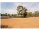 Ascot VIC 3551