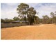 Ascot VIC 3551