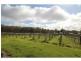 5528 Calder Highway, Big Hill VIC 3555