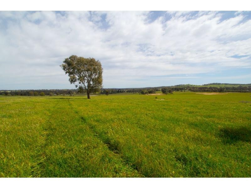 Lockwood South VIC 3551