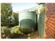 175 Lloyd Street, East Bendigo VIC 3550