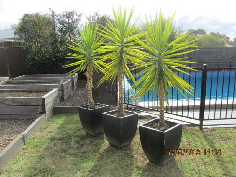 20 Harkness Street, Quarry Hill VIC 3550