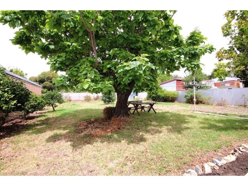 43 Curtin Street, Flora Hill VIC 3550