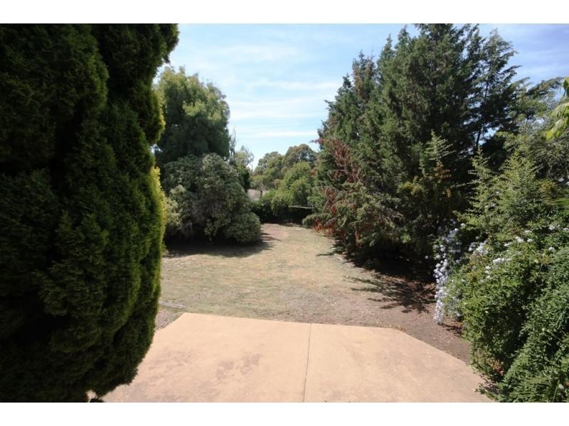 3 Carpenter Street, Quarry Hill VIC 3550