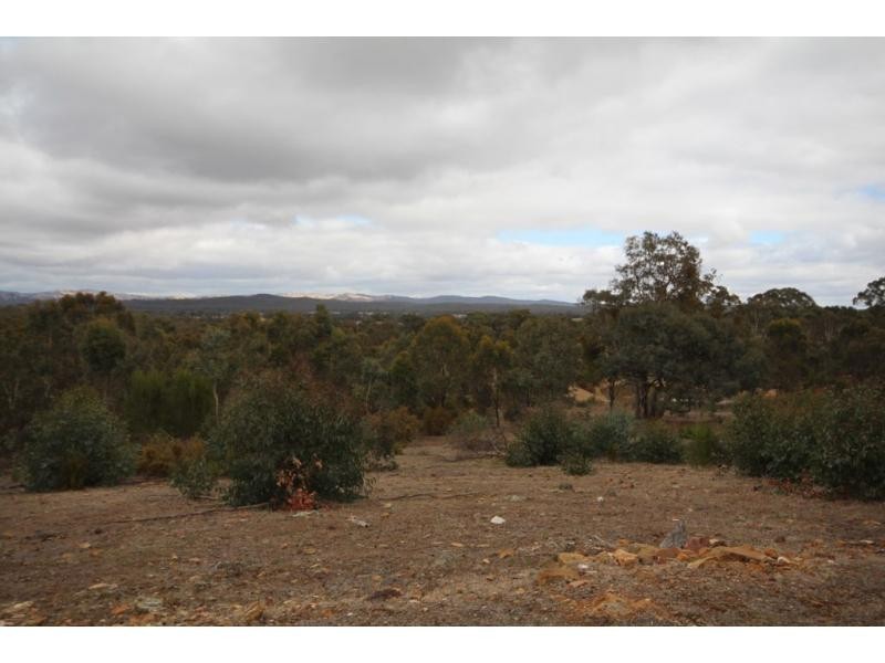 200 Abbotts Road, Axe Creek VIC 3551