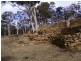 24 Casaurina Avenue, Tallong NSW 2579