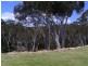 24 Casaurina Avenue, Tallong NSW 2579