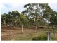 63 Scribbly Gum Avenue, Tallong NSW 2579