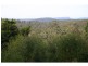 Lot 36 Brigadoon Drive, Bundanoon NSW 2578