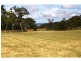 Canyonleigh NSW 2577